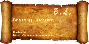 Brezsny Luciusz névjegykártya